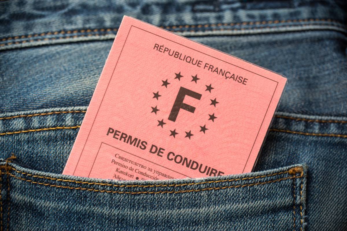 Permis De Conduire De Catégorie Am A Plusieurs Caractéristiques
