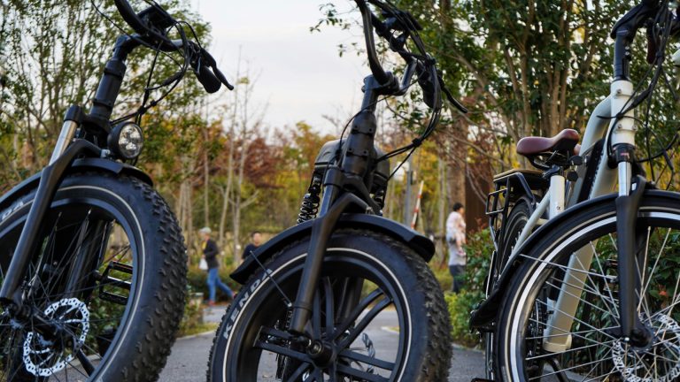 Vélo électrique : une nouvelle façon de se déplacer au quotidien